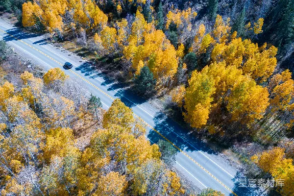 高清摄影 一条道路被树木环绕的空中俯瞰图