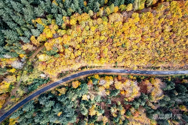 高清摄影 一幅道路周围环绕着树木的空中俯瞰图