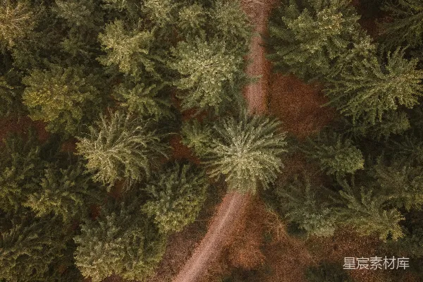 高清摄影 森林中间的一条道路的俯瞰图