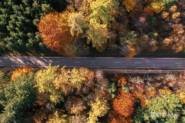 高清摄影 秋天森林中一条道路的空中俯瞰图