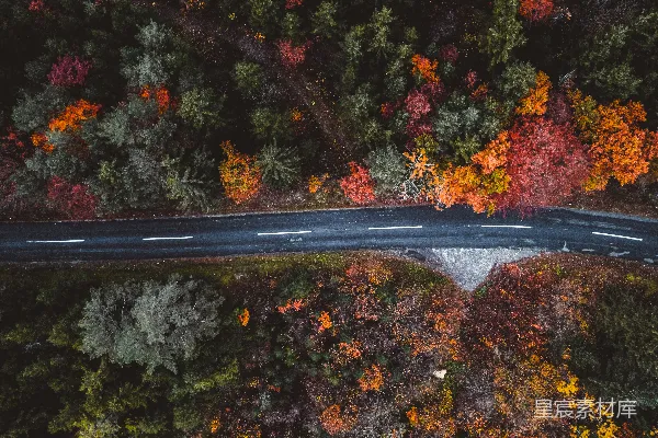 高清摄影 秋天森林中穿过的一条道路的航拍图
