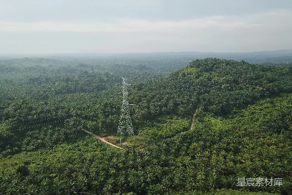高清摄影 茂密绿色森林中的高耸输电塔。
