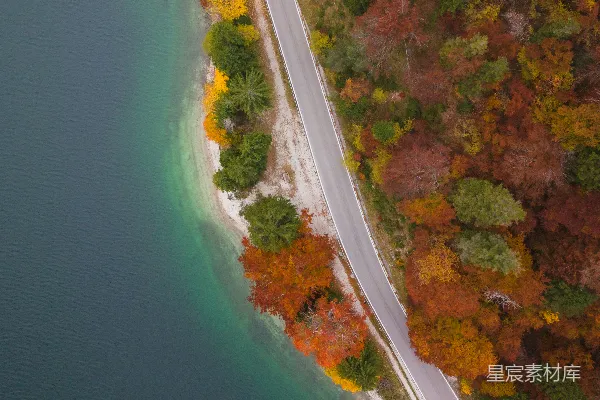 高清摄影 湖边的秋天森林和道路