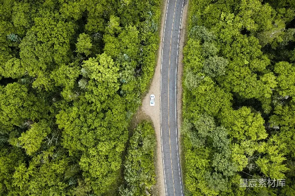 高清摄影 森林中一条道路的航拍视角