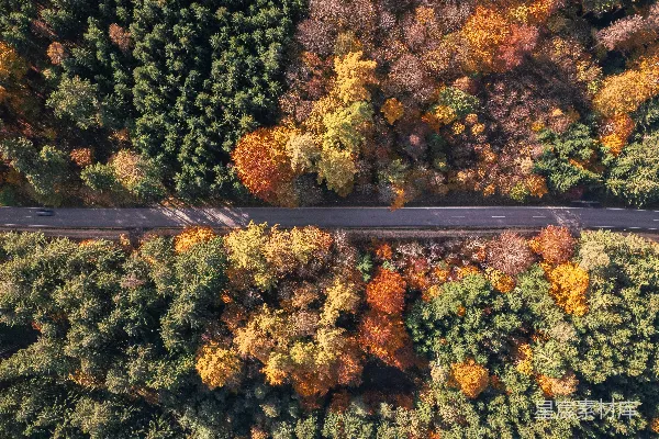 高清摄影 秋天森林中的一条道路航拍图