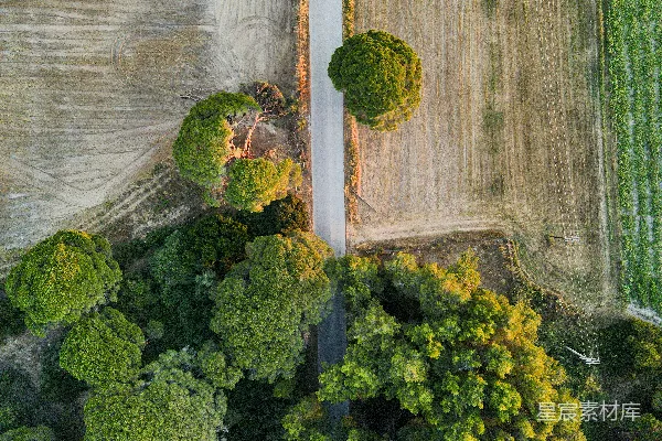 高清摄影 一条道路分隔树木和农田的鸟瞰图。
