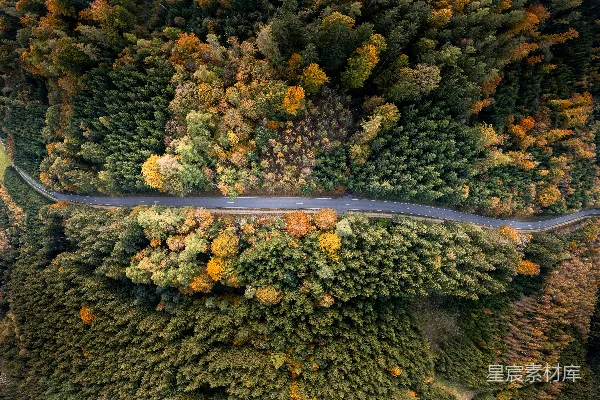 高清摄影 蜿蜒的道路穿过色彩斑斓的秋天森林（从上方俯瞰）。