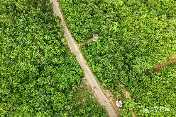 高清摄影 空中俯瞰，一条道路穿过郁郁葱葱的绿植。