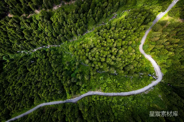 高清摄影 蜿蜒穿过茂密森林的空中俯瞰图。