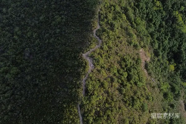 高清摄影 蜿蜒的山路穿越茂密的青山的俯瞰图。