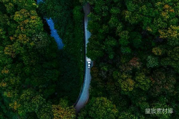 高清摄影 一条蜿蜒的道路穿过郁郁葱葱的绿林。