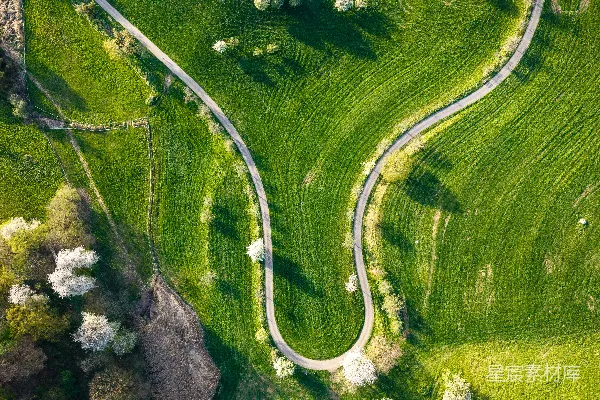 高清摄影 蜿蜒的道路穿过绿油油的田野，散布着几棵树。