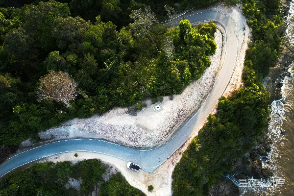 高清摄影 弯曲的道路穿过郁郁葱葱的森林，靠近海洋。