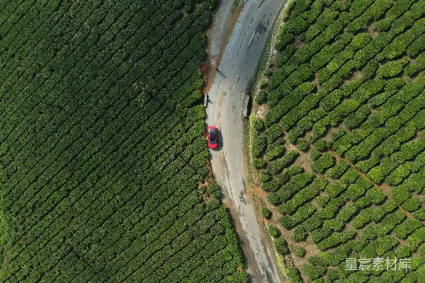 高清摄影 一辆汽车在公路上行驶的航拍视角