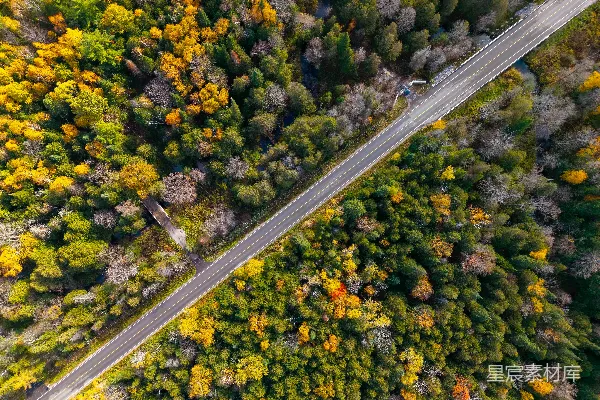 高清摄影 一条道路穿过色彩斑斓的秋林的俯瞰图。