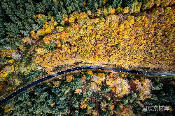 高清摄影 空中俯瞰一条道路，周围环绕着树木。