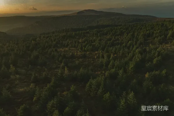 高清摄影 一幅有树木和山丘的风景画