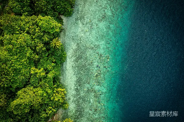 高清摄影 郁郁葱葱的绿色森林与湛蓝的海水交汇的空中俯瞰图