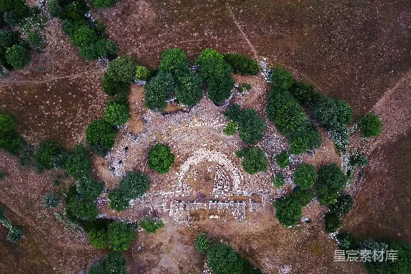高清摄影 空中拍摄树木的照片