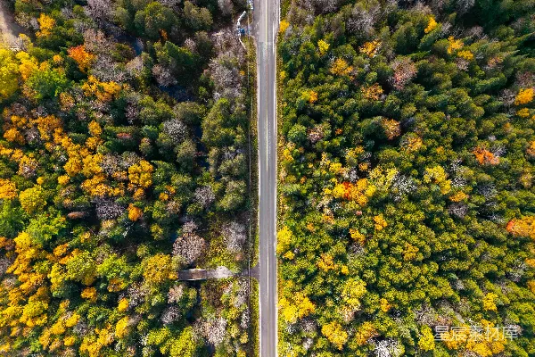 高清摄影 秋天森林中一条道路的俯瞰图