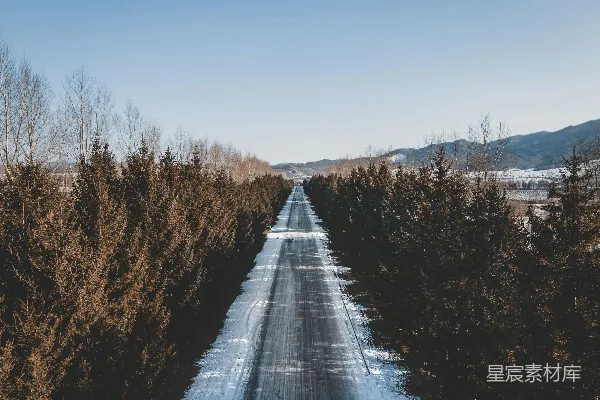 高清摄影 一条泥泞的小路，两旁是树木和积雪。