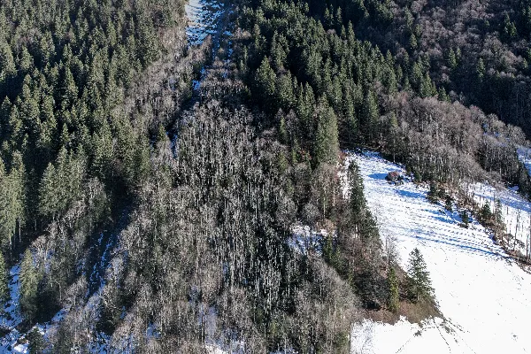 高清摄影 空中俯瞰一片被雪覆盖的区域，河流从中穿流而过。