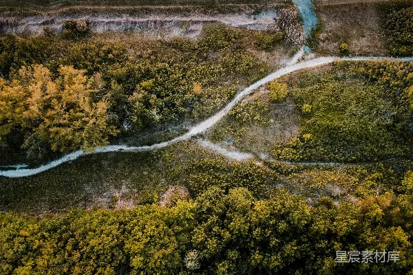 高清摄影 在树林中蜿蜒道路的空中俯瞰图