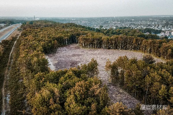 高清摄影 一条公路被树木环绕的航拍视角