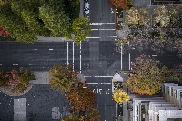 高清摄影 俯瞰秋天树木交错的街道路口。
