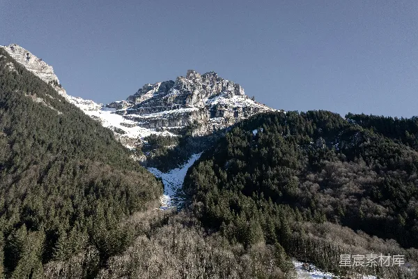 高清摄影 一座被雪覆盖的山峰，山脚下有一片森林。