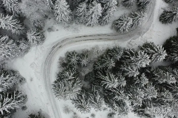 高清摄影 一条蜿蜒的道路穿行在白雪覆盖的森林中