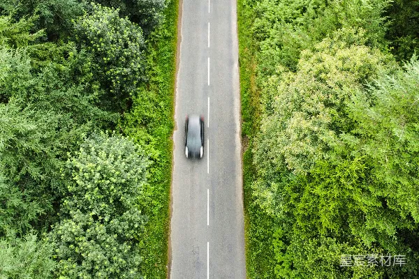 高清摄影 两辆车在树木环绕的道路上行驶。