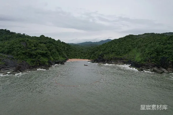 高清摄影 一条河流穿行在郁郁葱葱的森林中