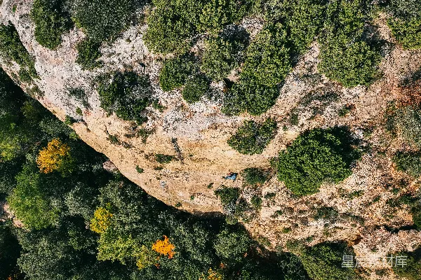 高清摄影 一个岩石区域，有植物生长。