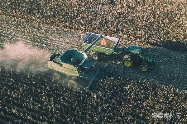 高清摄影 绿色和黑色的玩具车