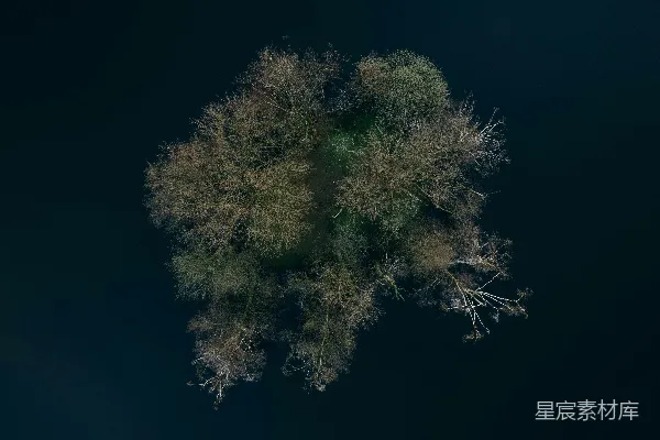 高清摄影 夜晚中间的一棵树的空中俯瞰图