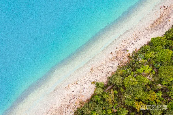 高清摄影 树在日间海边的航拍照片