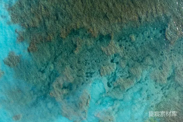 高清摄影 一张岩石的特写照片