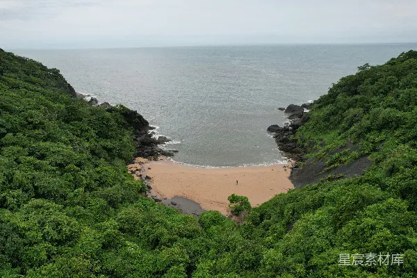 高清摄影 一个被树木环绕的沙滩远景