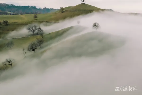高清摄影 雾蒙蒙的风景，山丘上长着树木。