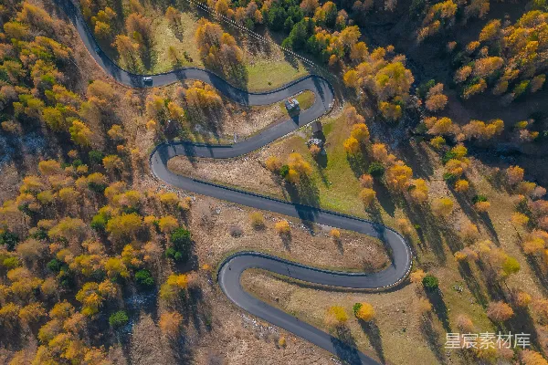 高清摄影 蜿蜒山路穿过秋林