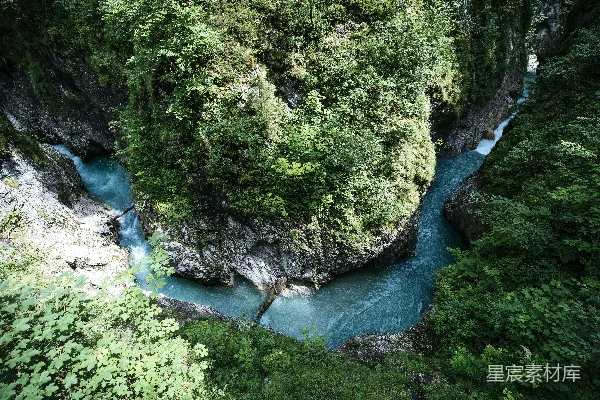 高清摄影 一条流经森林的河流