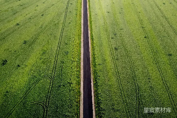 高清摄影 白天的绿色草地