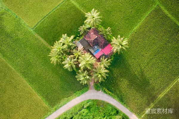 高清摄影 一片绿野上的房子