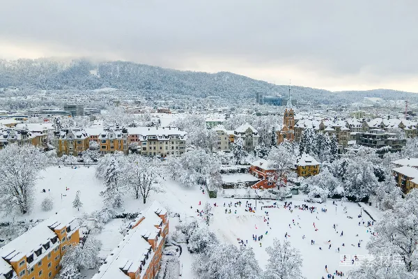 高清摄影 白棕相间的房屋覆盖着积雪，白天的景象。