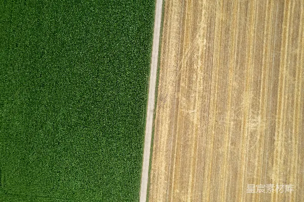 高清摄影 一幅从空中俯瞰的绿田和拖拉机的景象。