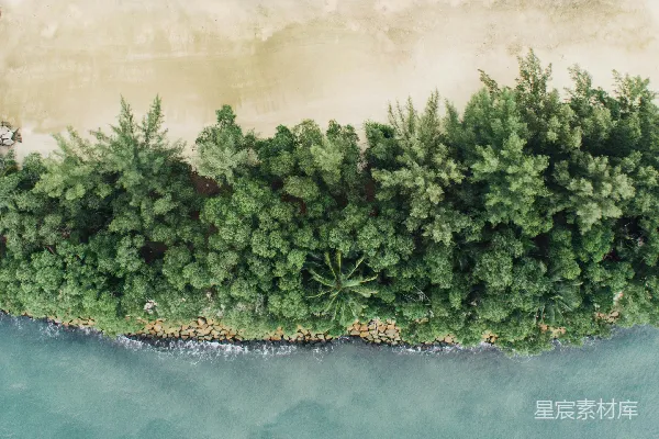 高清摄影 河边树木的鸟瞰图