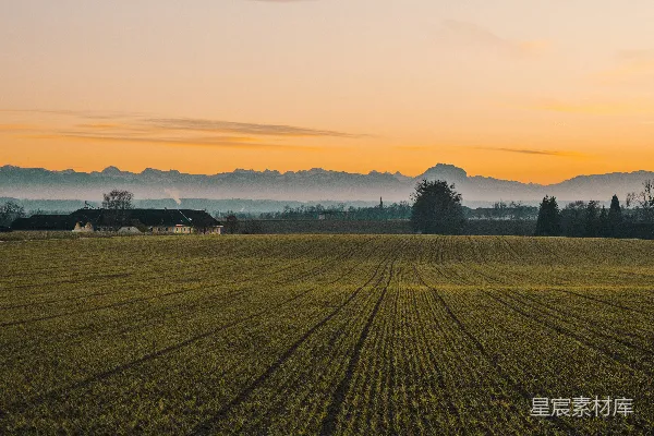 高清摄影 夕阳下的绿色草地