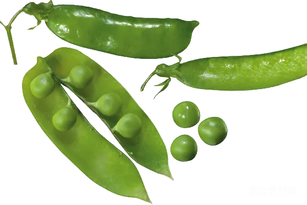 元素素材 豌豆