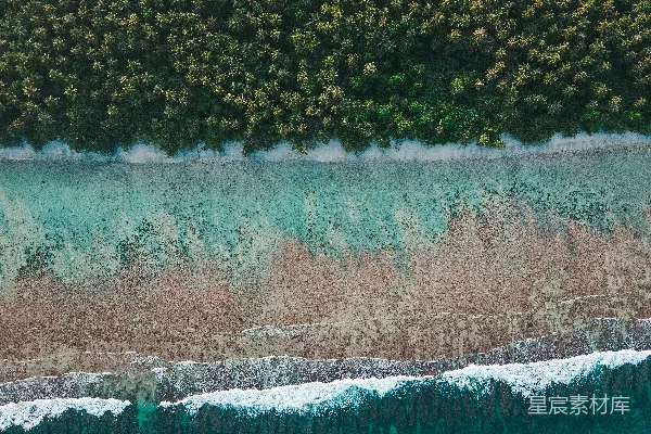 高清摄影 白天水边的绿树